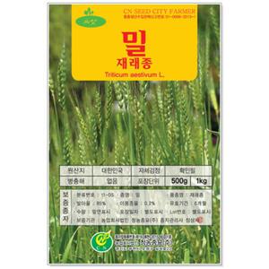 [토단] 대용량 재배용 밀 씨앗 500g
