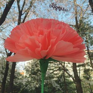 [G3J59O8]스승의날 이벤트 선물 로인스 어버이날 이벤트