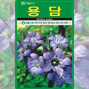 아람종묘 용담 씨앗 1000립 용담 꽃씨 야생화 약초 종자
