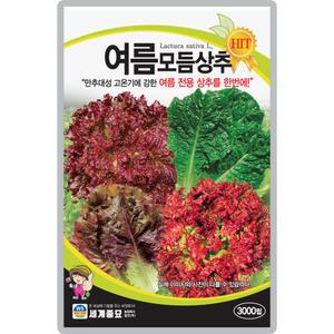 산들마켓 여름모둠 상추씨앗 3000립 여름재배 적합한 4종 모둠 상추씨 종자