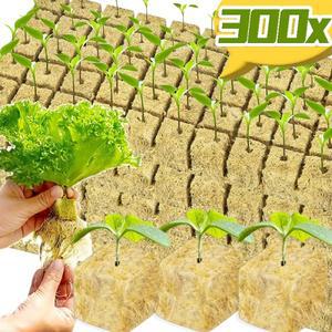 Stonewool 수경 재배 미디어 큐브 식물 무토양 기질 시드 암털 플러그 정원 모종 블록 화분 도매