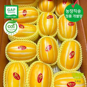 성주 참외 농장직송 중과(개별망) 5kg 15-20과