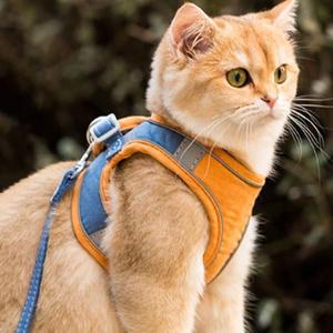 고양이 하네스 목줄 강아지 리드줄 (WFHOTUJ)