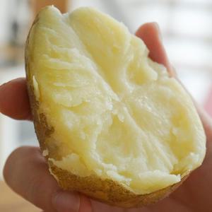 포슬포슬 고소한 수미감자 조림용 100g 이하 10KG 맛있는 감자