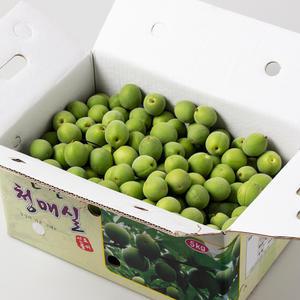 순천 광양 황매실 10kg 대 31mm이하