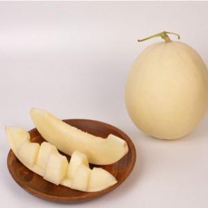 수신메론(홈런스타) 2kg (2-3수)