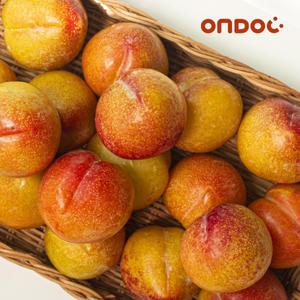 [롯데백화점]온도씨 [온도씨] 첫출하 경북 노지 달콤한 대석자두 중대과 1kg(26과내외)