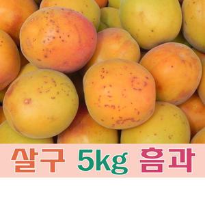 (팔공산농원) 살구 5kg 흠과