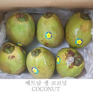 베트남 그린코코넛 1box (12개)