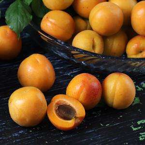 때깔찬 싱싱 살구 실중량 2kg 내외 (소)
