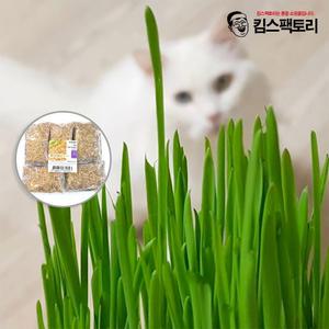 캣그라스 씨앗 보리 밀 귀리 1kg 캣글라스 키우기 고양이 간식