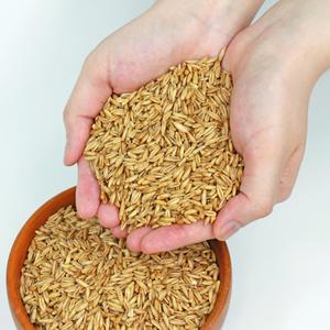 국내산 무농약 유기농 24년산 햇 잡곡 귀리 1kg