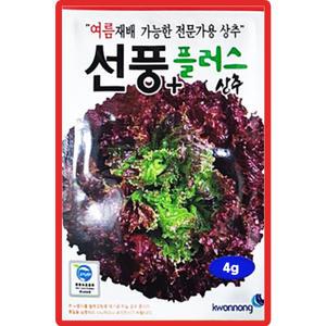 씨앗마켓 선풍플러스 상추 씨앗 4g 여름재배 전문가용 상추씨 종자