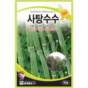 세계종묘 사탕수수 씨앗 50립 사탕수수씨 종자