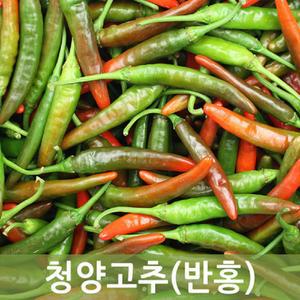 실속형 청양고추(반홍) 5kg  청양혼합 두리반농산