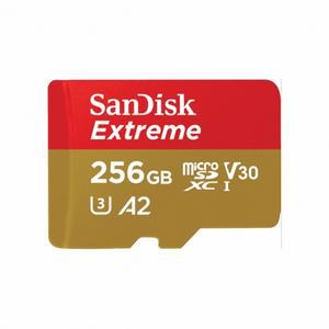 Extreme microSDXC 카드(256GB/160MB/s/Class10/SanDisk)
