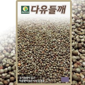 다농 다유 들깨 씨앗 20g 국산 씨 들깨 국산 기름용 종자