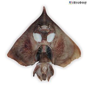 [나주수산] 반건조홍어 국산 한마리 홍어찜 제수용 어청도 대청도