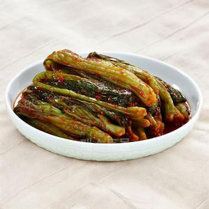 종가 우리땅 갓김치 5kg
