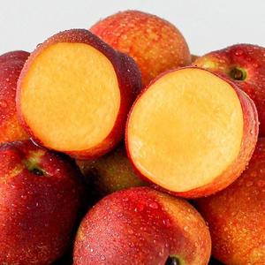 갤러리아 국내산 김천 영천 제철과일 신선복숭아 중과 2kg/15-22과내외