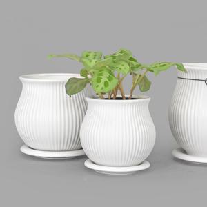 마이플랜트 줄무늬 단지팟 세라믹 화분 인테리어 도자기 화분받침 세트 14호 17호 17호(롱)