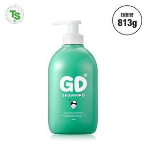 TS 지디샴푸 대용량 813g 티에스 청소년 비듬 샴푸 정수리