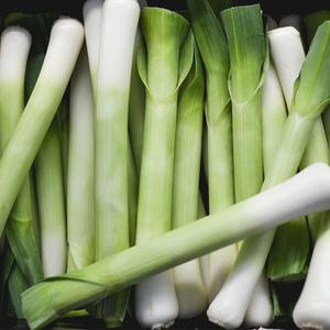 [명일원] 국내산 식자재 손질 절단 대파 중량별 골라담기!