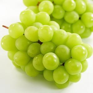 샤인머스켓 2kg