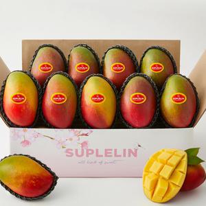 [롯데백화점]수플린 새콤달콤 쫀득한 프리미엄 고당도 애플망고 총 3.6kg 이상 (8-9입)