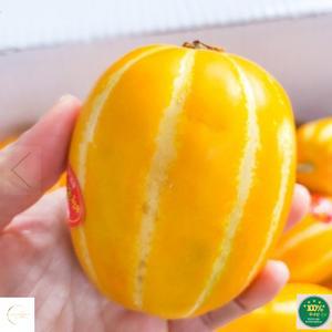 성주 참외 가정용 10KG 랜덤과 (20-60과) 신선과일 제철과일 맛있는참외