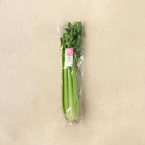 샐러리 500g (1통)