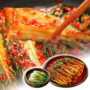 이인화 명인 남해 얼갈이 김치 겉절이 국내산 남해 전복 톳 육수 밥 반찬 국산 얼갈이 짜박 물 김치 5kg