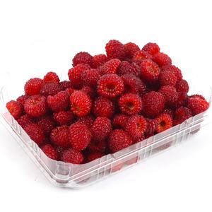 첫수확 25년 햇 산딸기 생과 1kg 당일수확