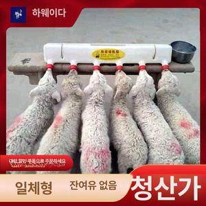 축산 송아지젖병 염소수유기 사육 축사 포유기 급유기