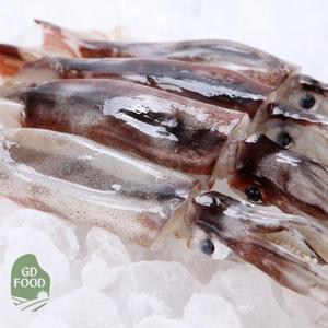 건담농수산 동해안 총알 통찜오징어 생물 선동 생오징어 통찜용