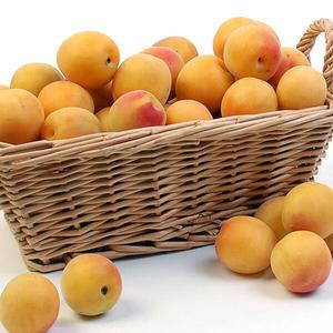 두레_홍매실(남고) 10kg(소)