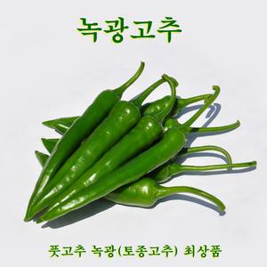 꼬레촌 토종 녹광풋고추 최상품 1kg