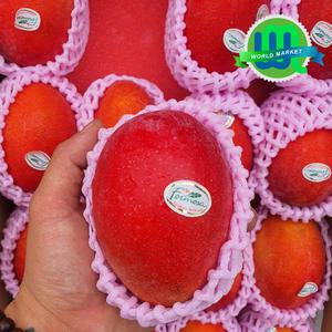 과일의 여왕 대만애플망고 3입, 6입(중과270g 18과사이즈)