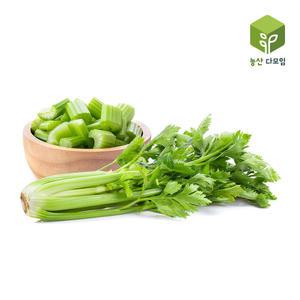 샐러리 10kg /셀러리