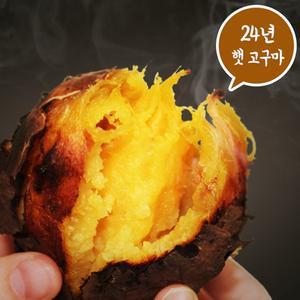 소리팜 해남 꿀고구마 5kg (못난이)