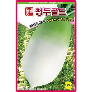 청두골드 무 씨앗 청두골드 무우 씨 종자 2000립