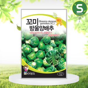 꼬미방울양배추 500립 미니 양배추씨앗