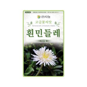 모두다 다농 채소씨 민속씨 다농흰민들레씨앗(100립)
