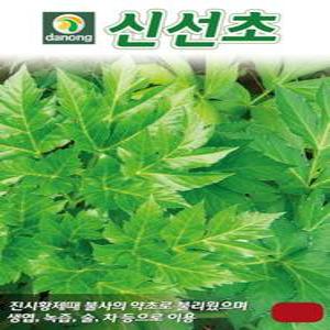 스위트바실(바질) 허브 씨앗 15g