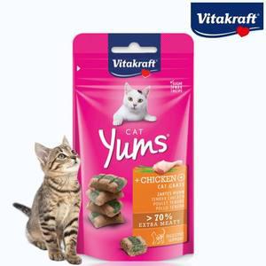 비타크래프트 캣얌 치킨 캣그라스 40g