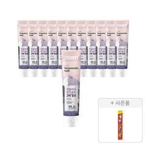 2080 퓨어플러스 핑크솔트 치약 150g, 12개 + 증정(토탈케어 칫솔 일반모, 1개)