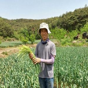 국산 마늘쫑 햇마늘쫑 산지직송 2025년산 풋마늘대 무료배송 2KG 3kg 5kg