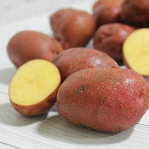 남해 햇 홍감자 특대혼합 5kg (찜용 요리용)
