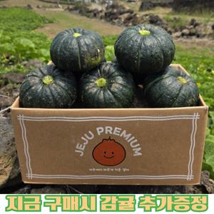 제주 햇 보우짱 단호박 밤호박 2kg 5kg