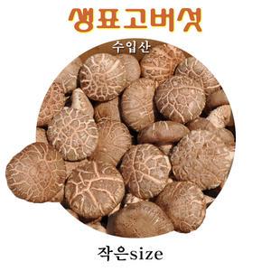 꼬레촌표고 버섯(수입 생표고버섯) 작은size 4kg